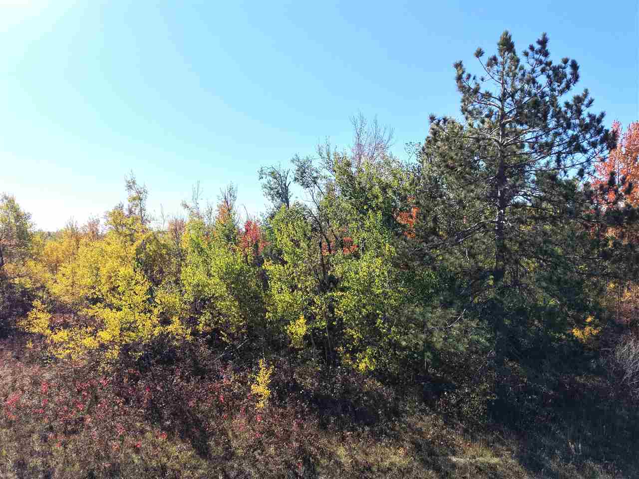 11600 Pencil Lake Road Elmira MI 49730