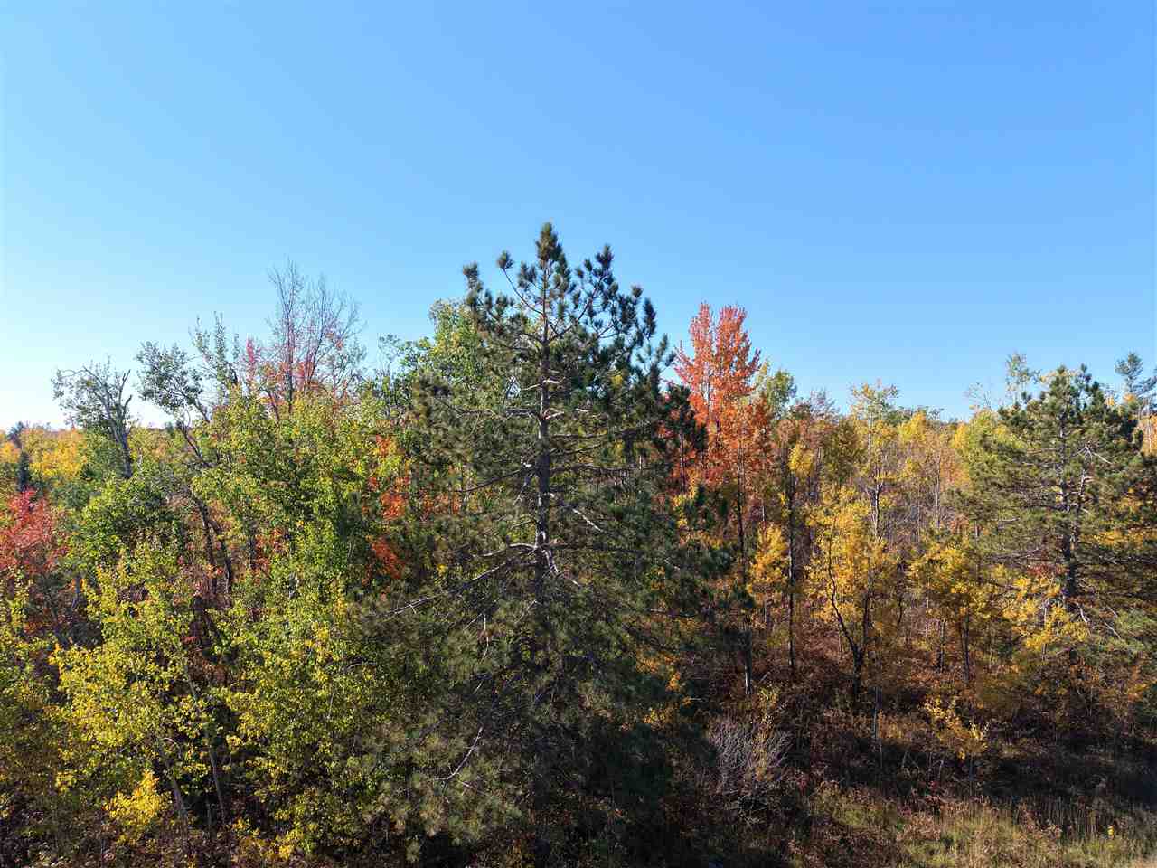 11600 Pencil Lake Road Elmira MI 49730