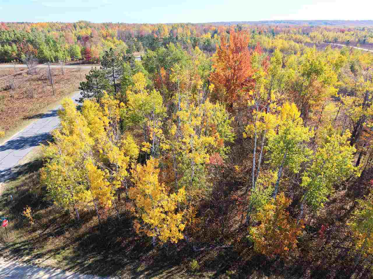 11600 Pencil Lake Road Elmira MI 49730