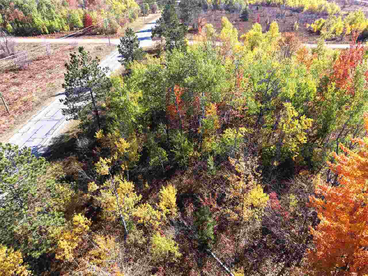 11600 Pencil Lake Road Elmira MI 49730