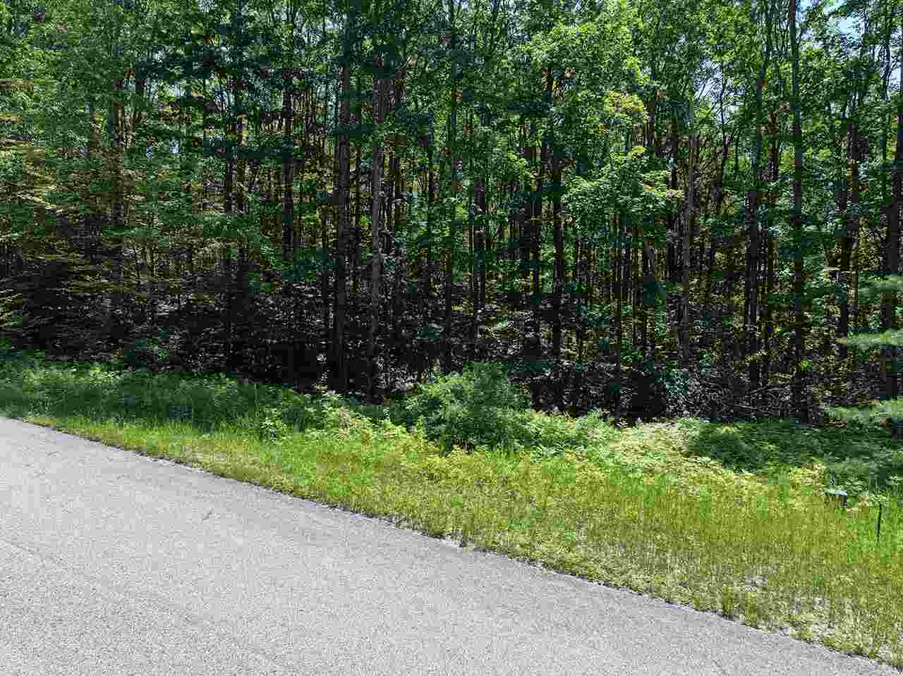 3480 Needles Drive Harbor Springs MI 49740