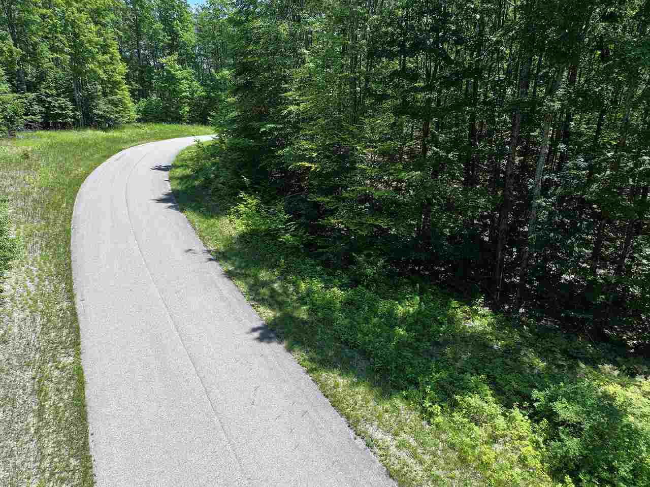 3480 Needles Drive Harbor Springs MI 49740