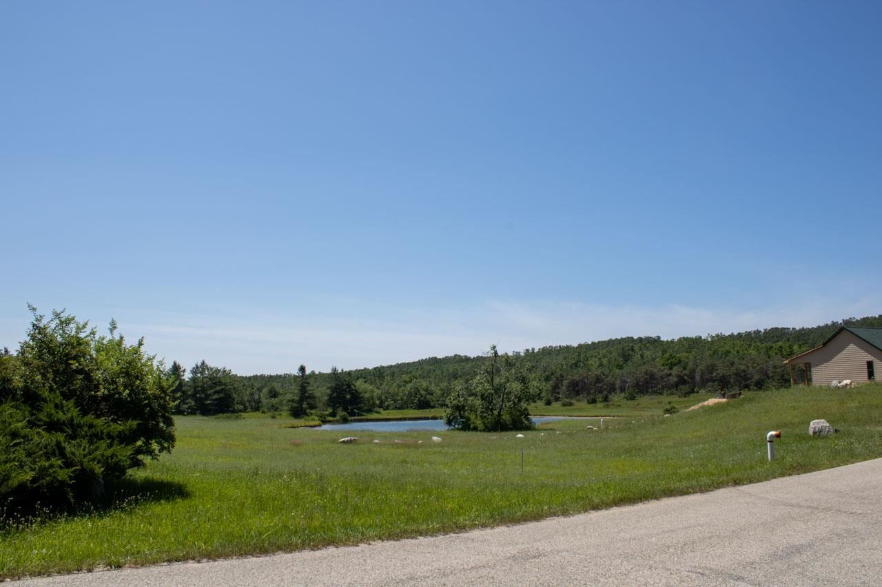 3480 Needles Drive Harbor Springs MI 49740