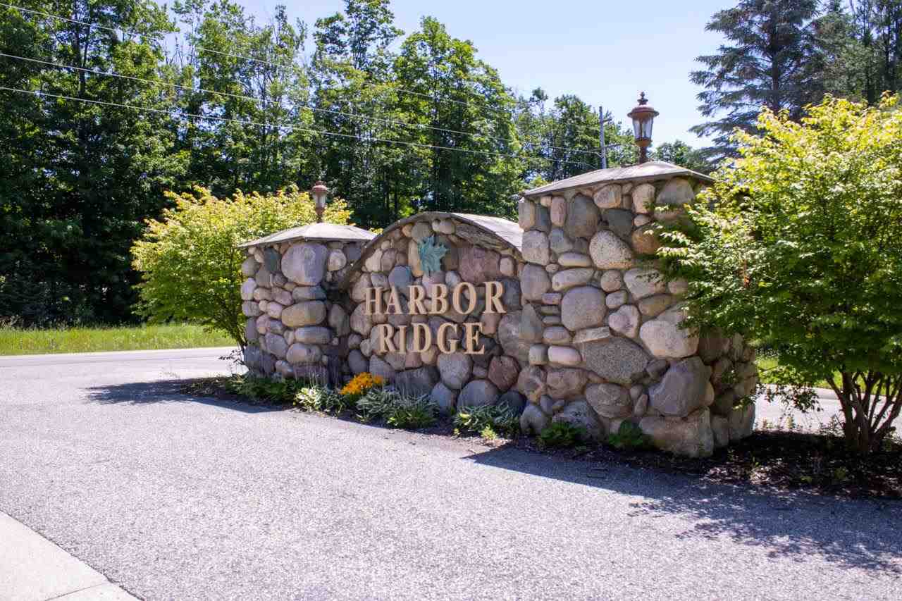 3480 Needles Drive Harbor Springs MI 49740