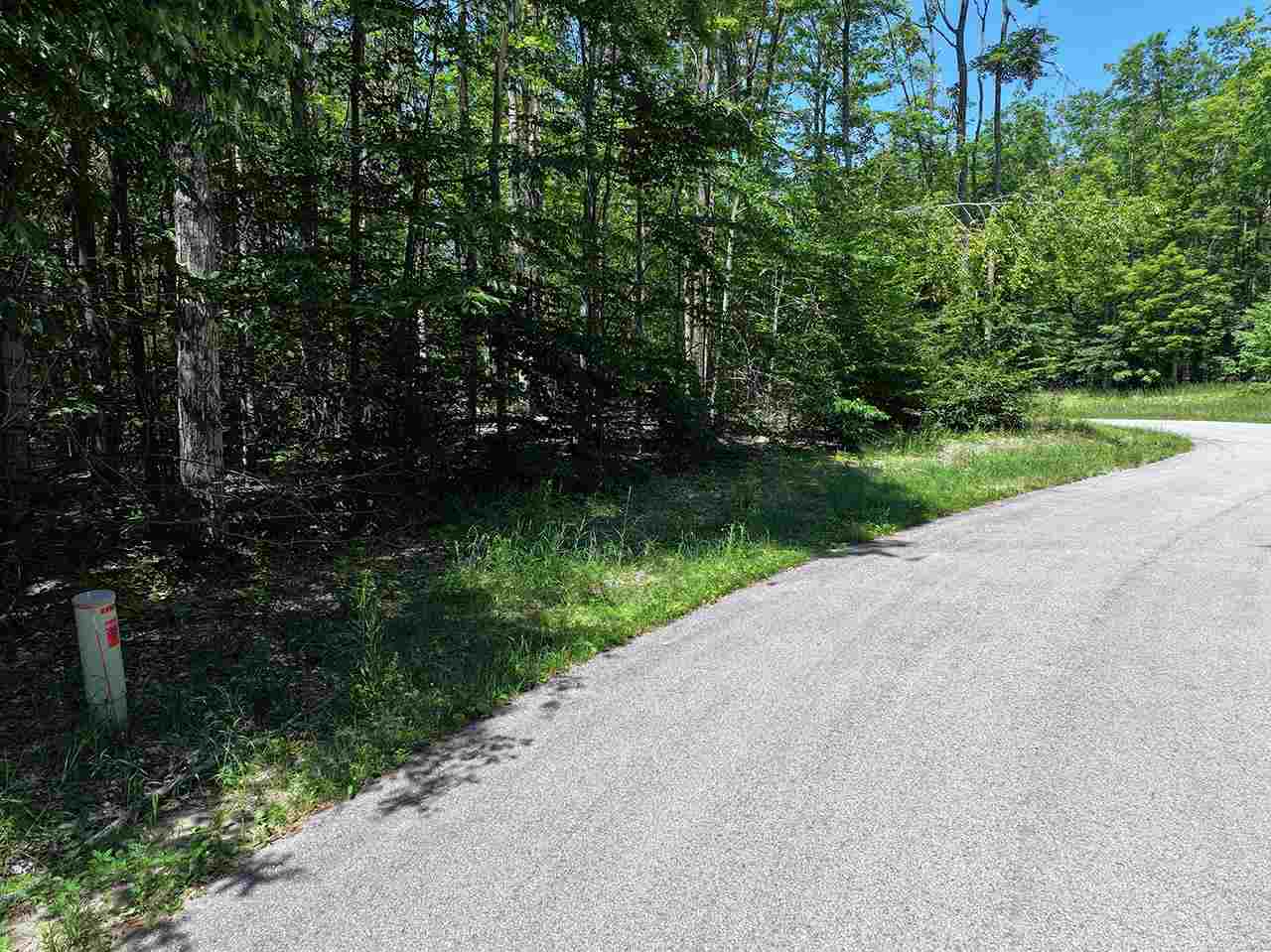 3480 Needles Drive Harbor Springs MI 49740