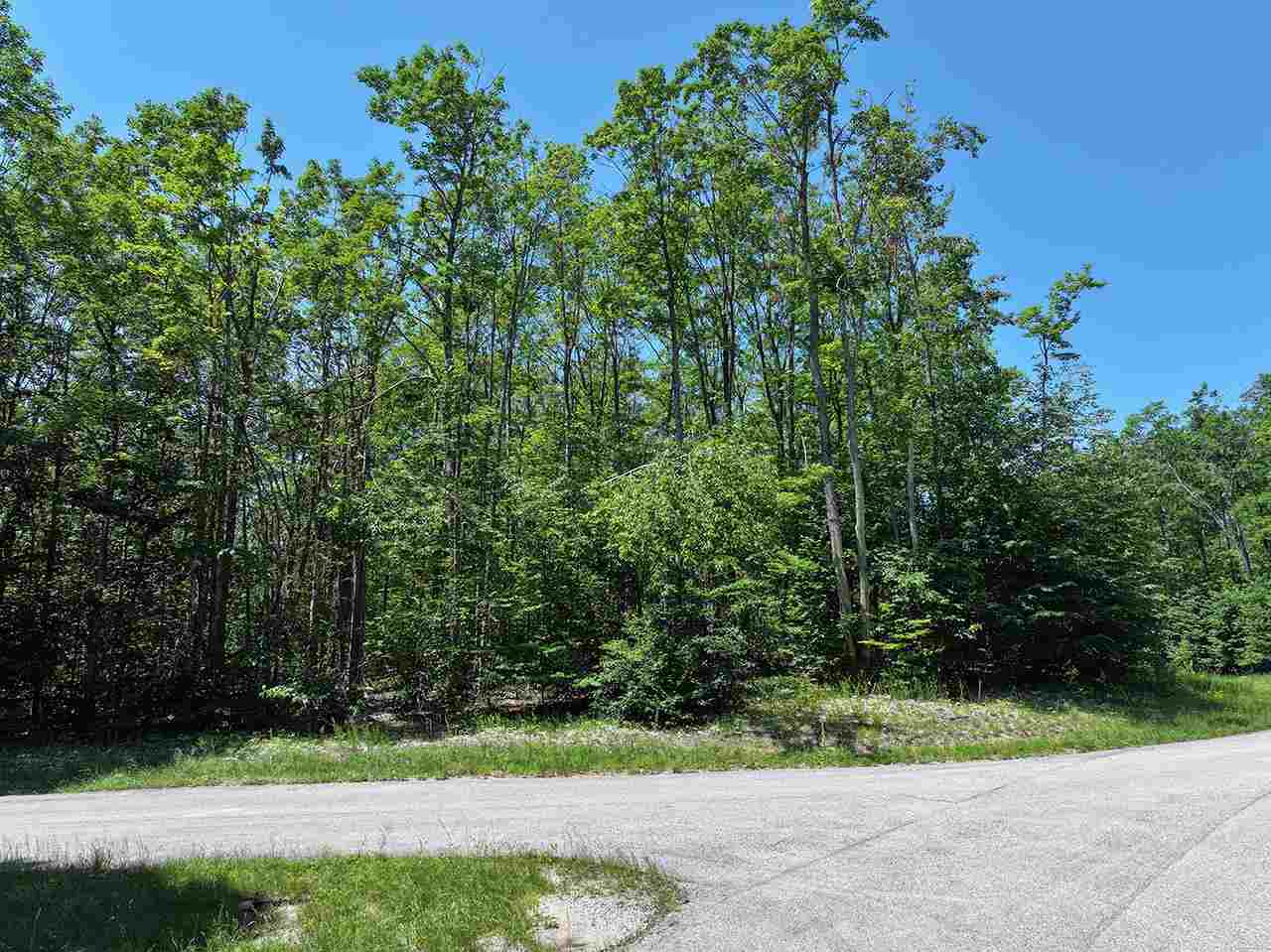 3480 Needles Drive Harbor Springs MI 49740