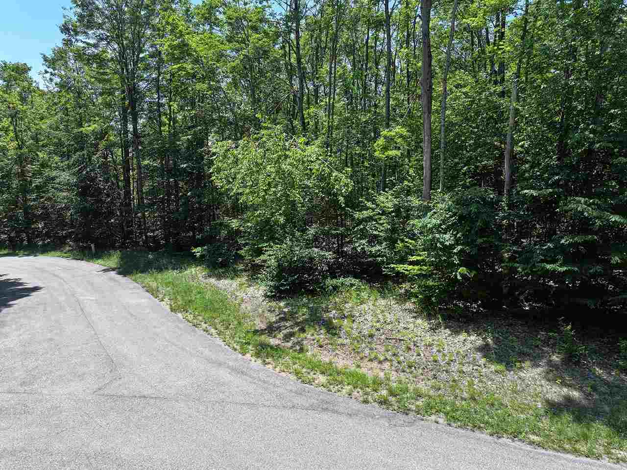 3480 Needles Drive Harbor Springs MI 49740