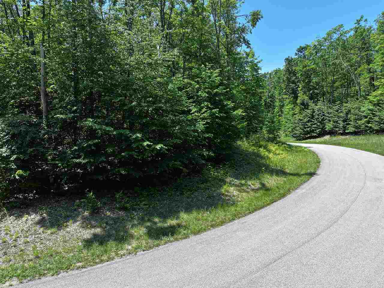 3480 Needles Drive Harbor Springs MI 49740