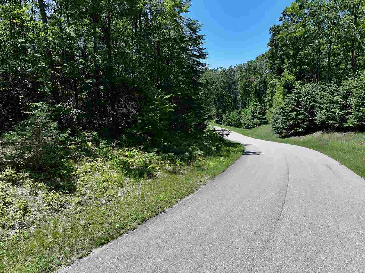 3480 Needles Drive Harbor Springs MI 49740