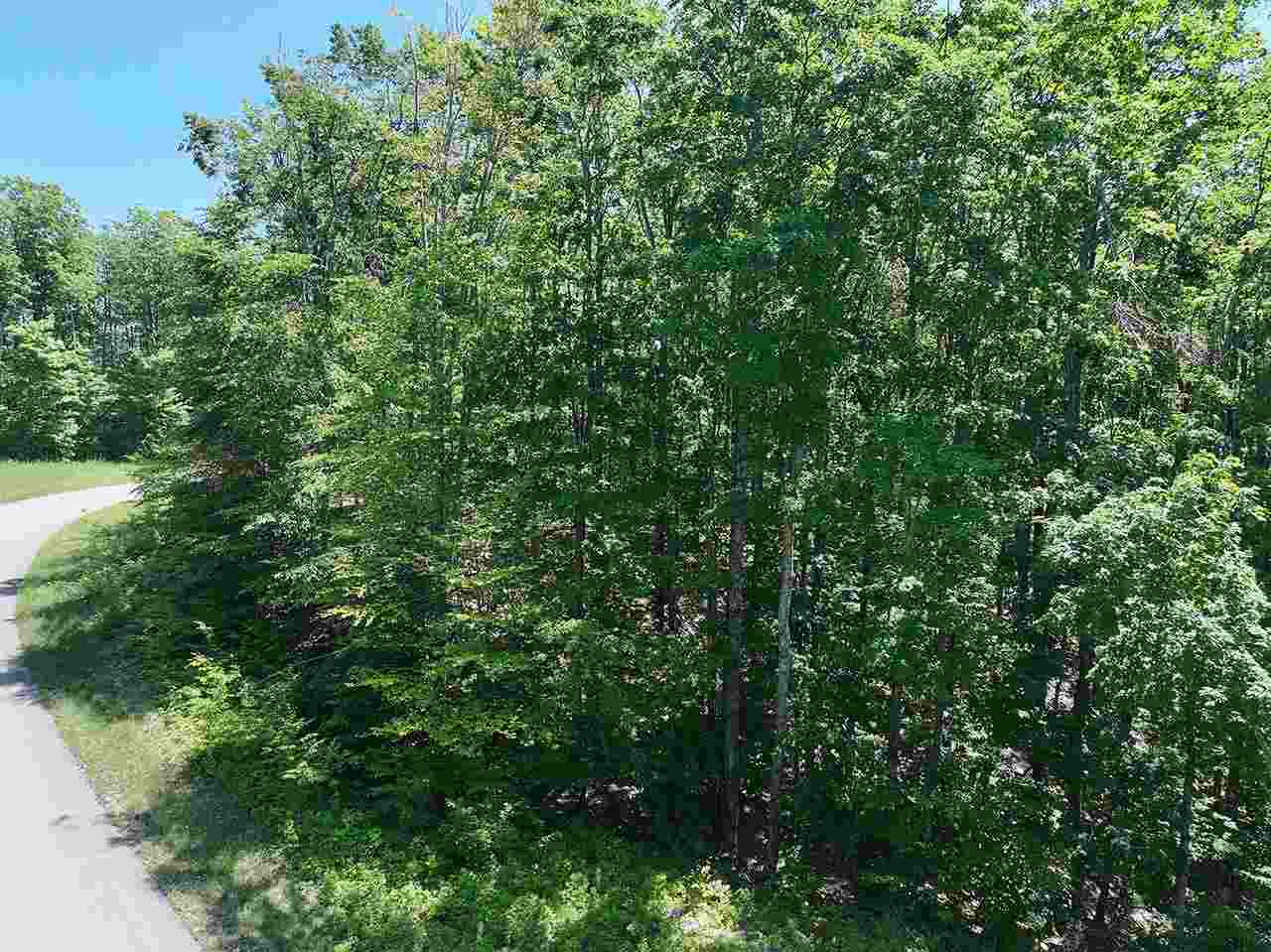 3480 Needles Drive Harbor Springs MI 49740