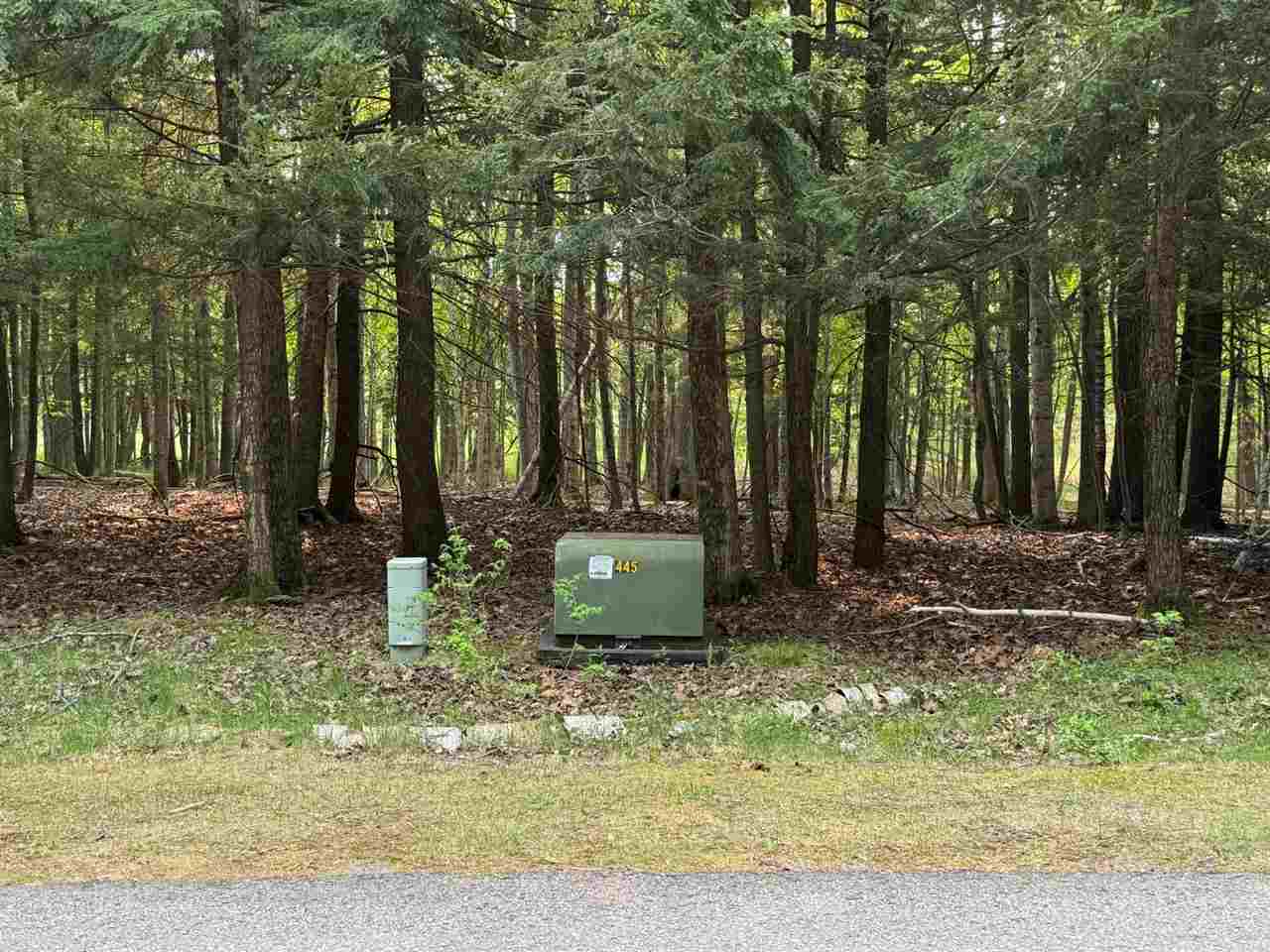 5945 Lodgepole Harbor Springs MI 49740