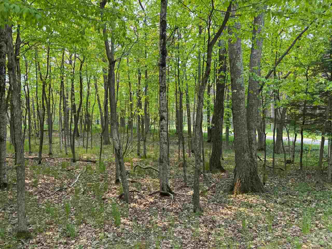 5945 Lodgepole Harbor Springs MI 49740