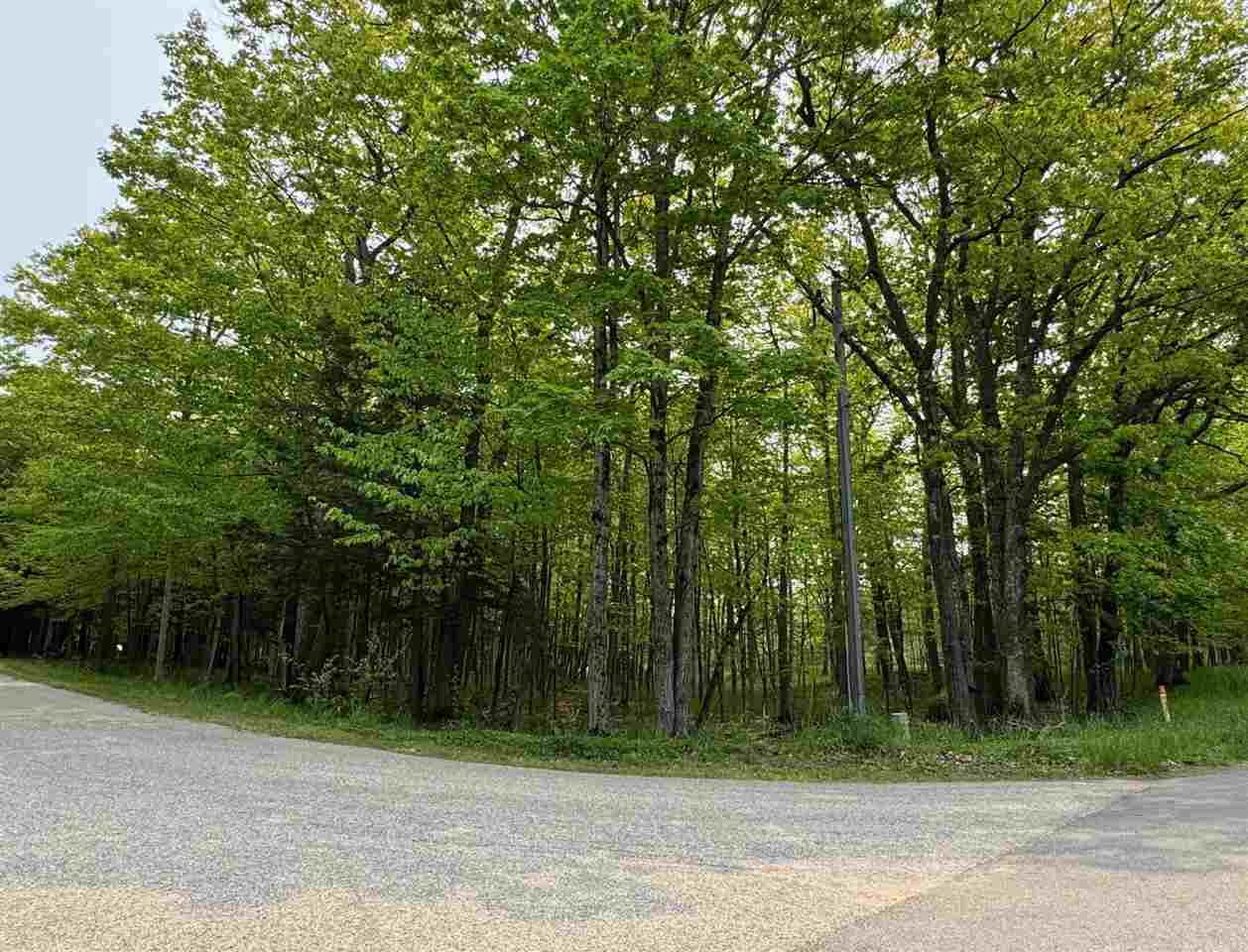 5945 Lodgepole Harbor Springs MI 49740