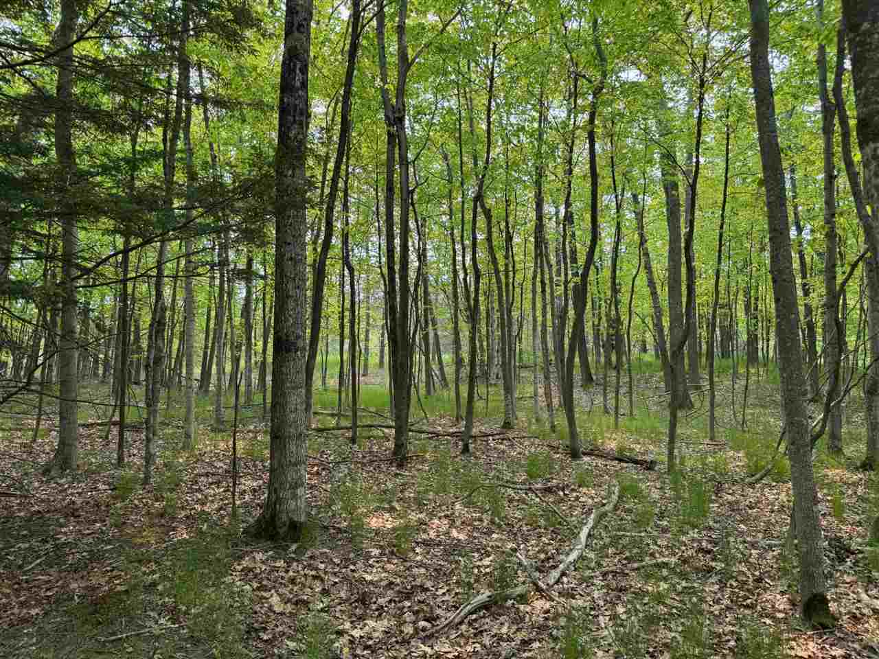 5945 Lodgepole Harbor Springs MI 49740