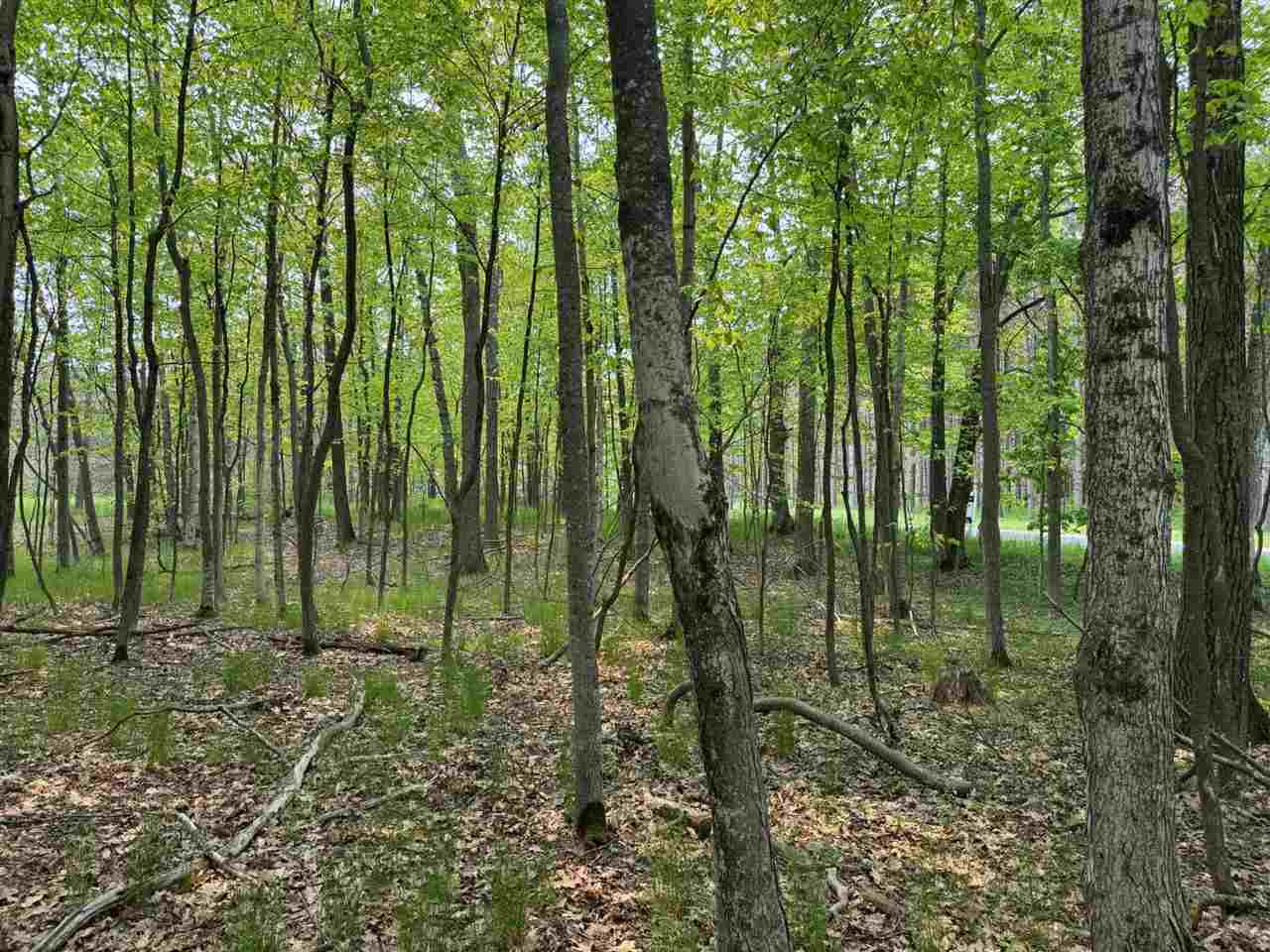 5945 Lodgepole Harbor Springs MI 49740