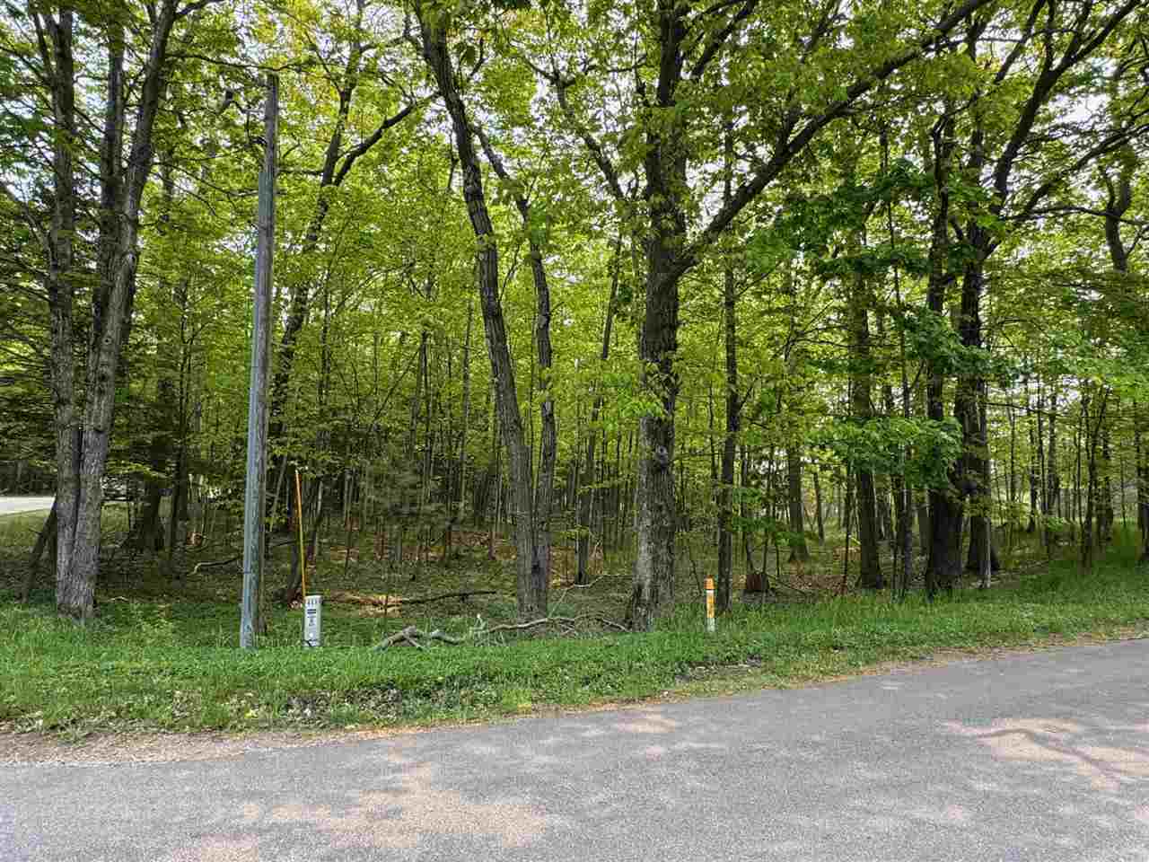 5945 Lodgepole Harbor Springs MI 49740