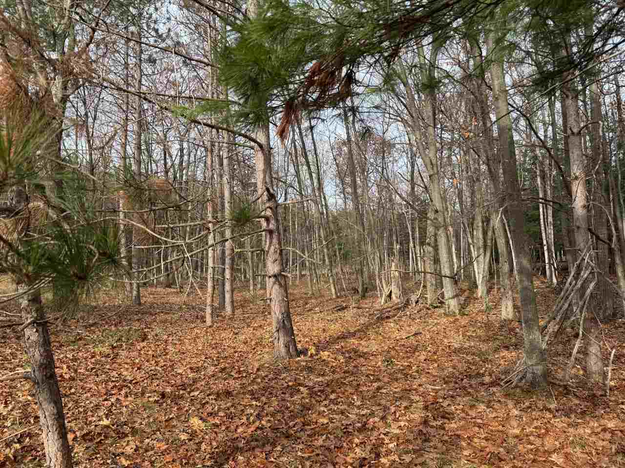 5945 Lodgepole Harbor Springs MI 49740