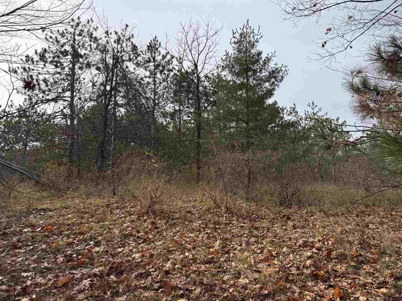 5945 Lodgepole Harbor Springs MI 49740