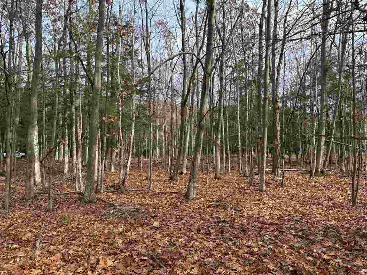 5945 Lodgepole Harbor Springs MI 49740