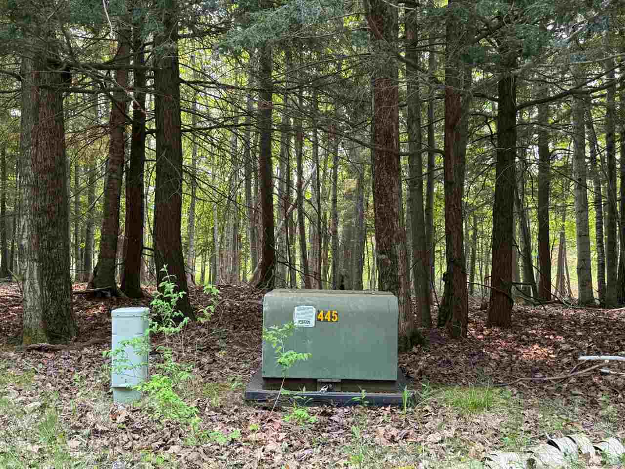 5945 Lodgepole Harbor Springs MI 49740