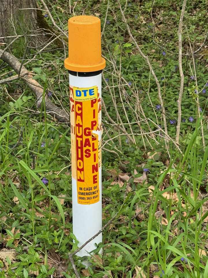 5945 Lodgepole Harbor Springs MI 49740