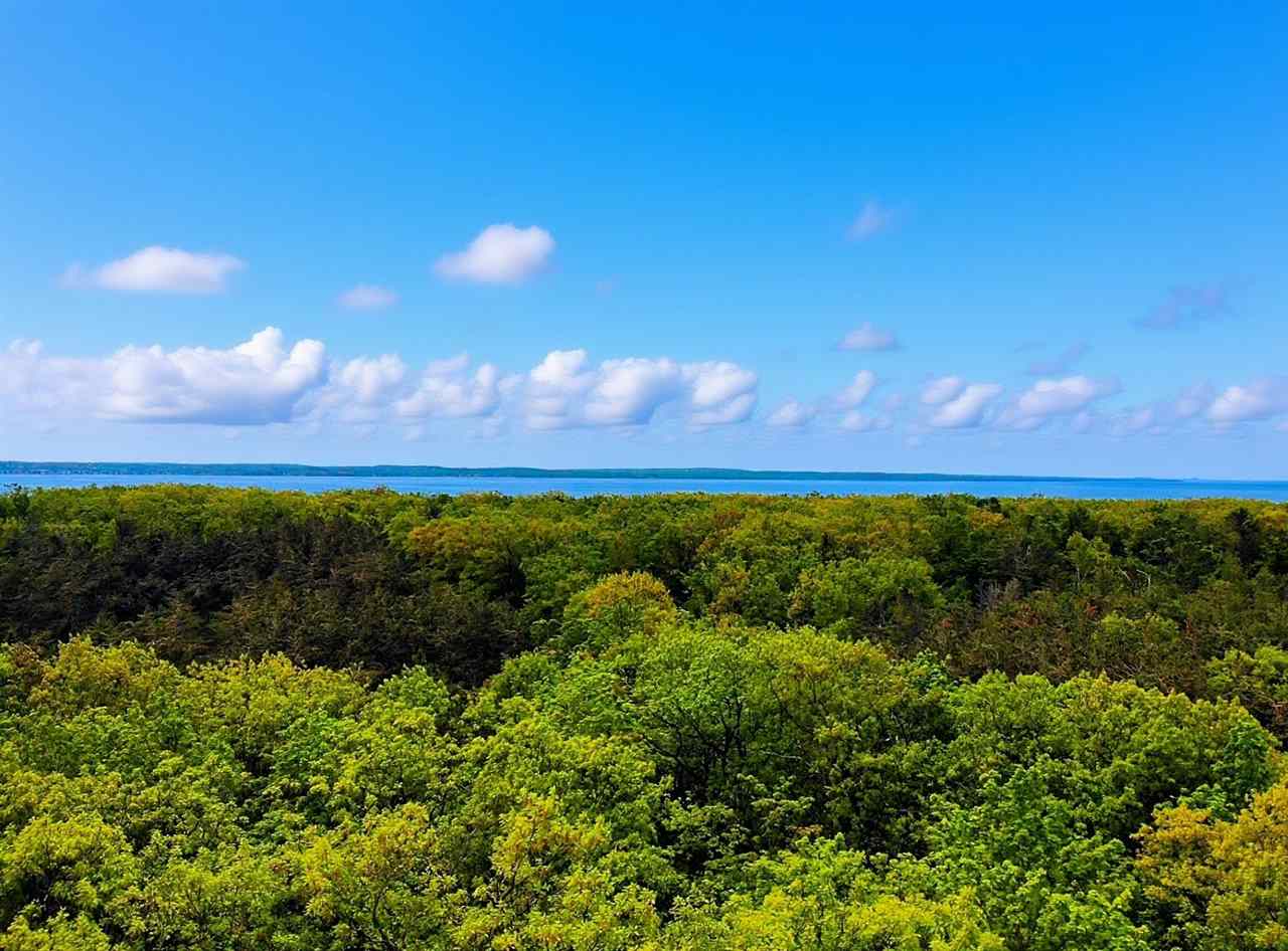 5945 Lodgepole Harbor Springs MI 49740