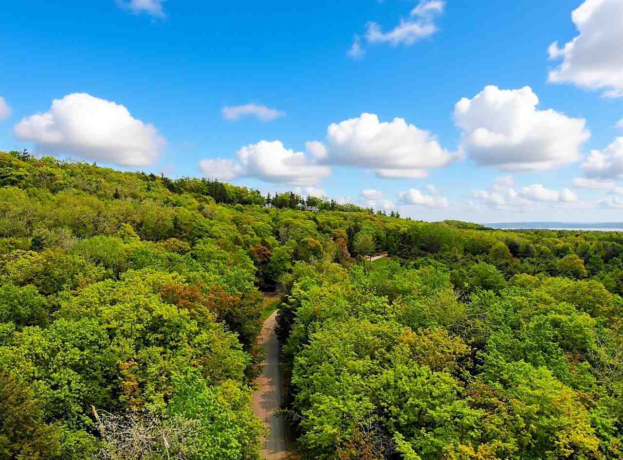 5945 Lodgepole Harbor Springs MI 49740