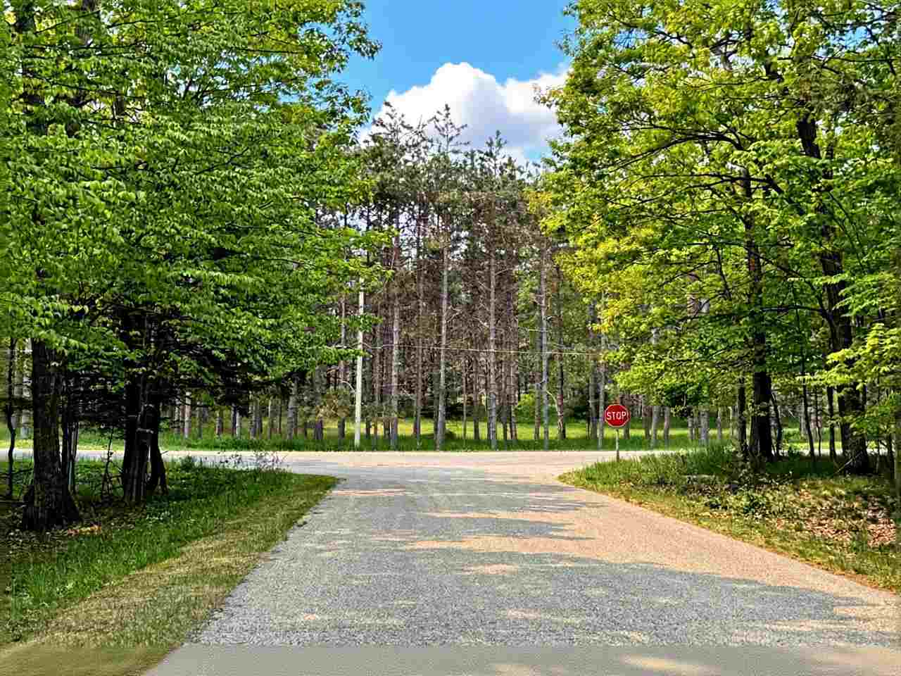 5945 Lodgepole Harbor Springs MI 49740