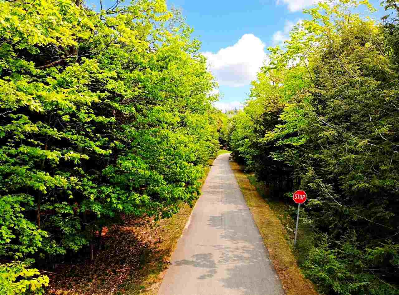 5945 Lodgepole Harbor Springs MI 49740