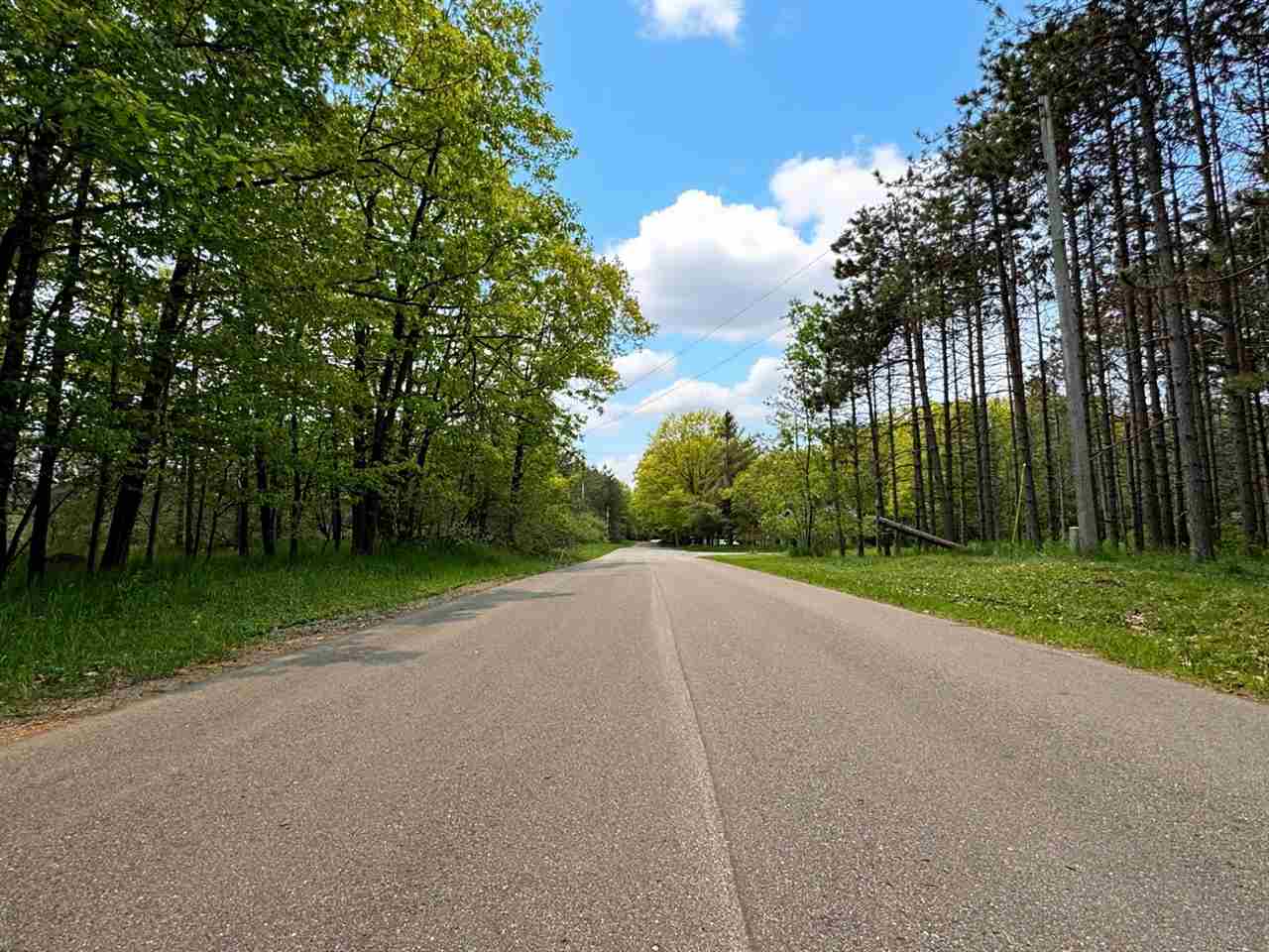 5945 Lodgepole Harbor Springs MI 49740