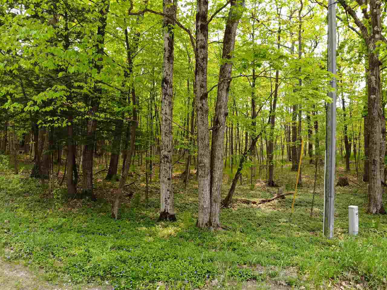 5945 Lodgepole Harbor Springs MI 49740