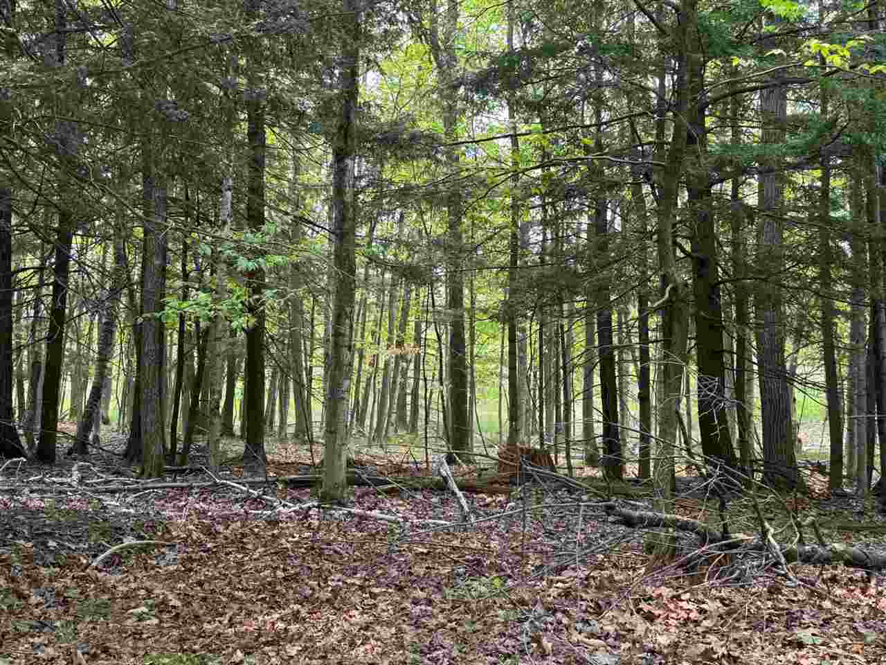 5945 Lodgepole Harbor Springs MI 49740