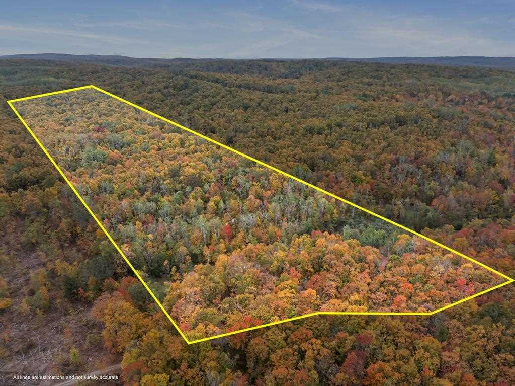 2537 Middle Village Drive Harbor Springs MI 49740