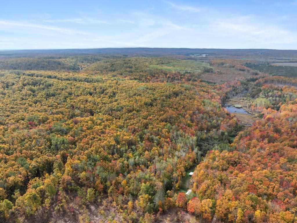 2537 Middle Village Drive Harbor Springs MI 49740