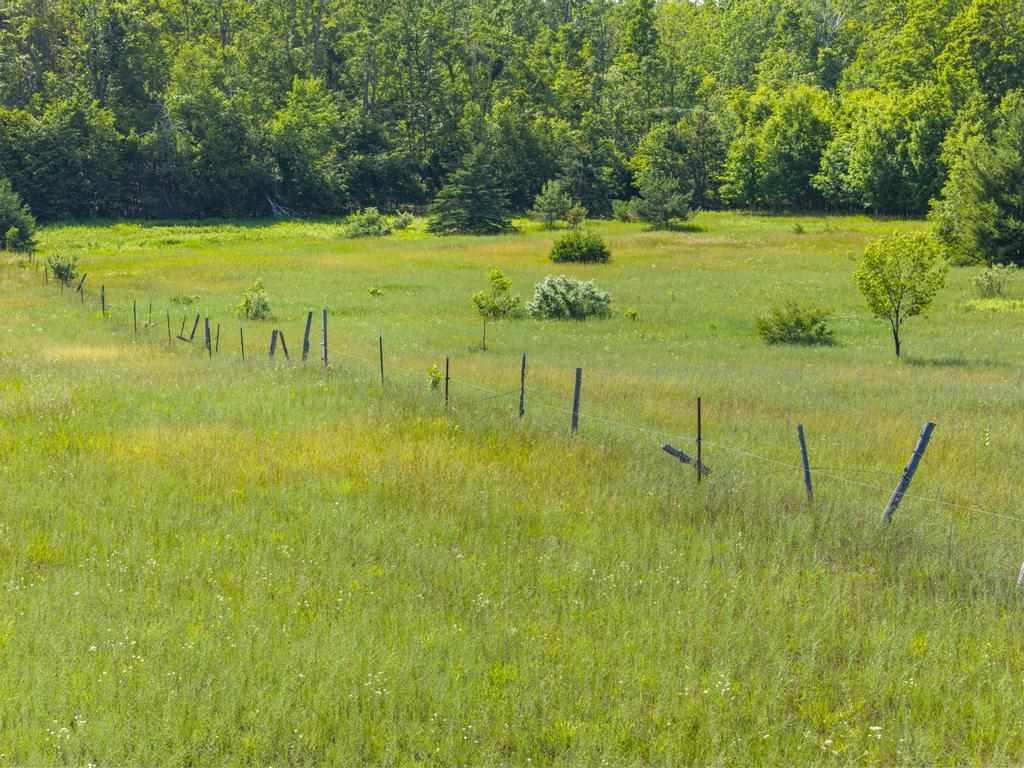 8688 Miller Road Alanson MI 49706