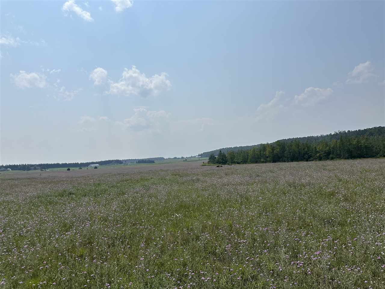 8688 Miller Road Alanson MI 49706