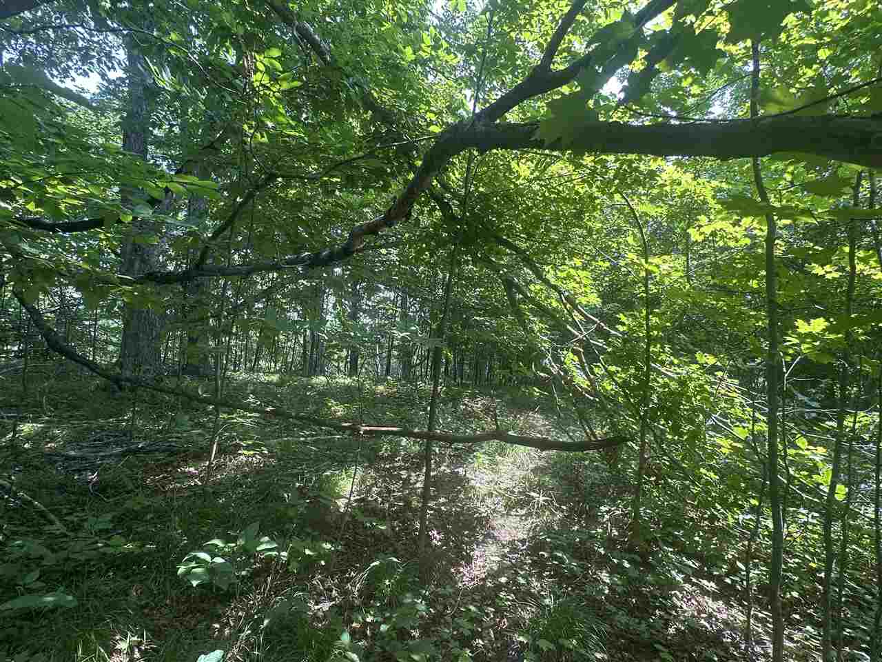8688 Miller Road Alanson MI 49706