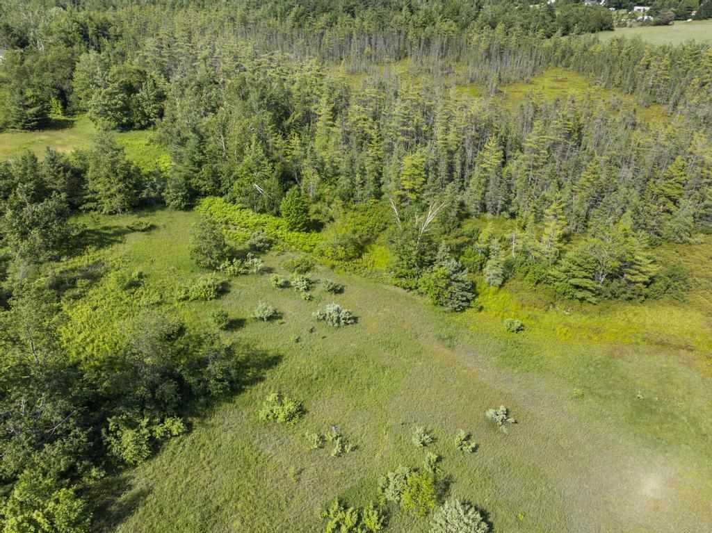 8688 Miller Road Alanson MI 49706
