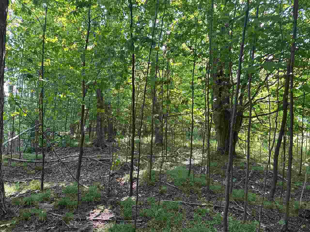 8688 Miller Road Alanson MI 49706