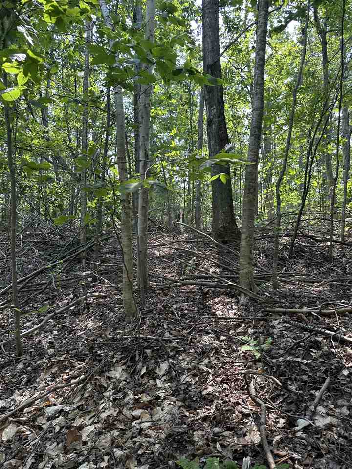 8688 Miller Road Alanson MI 49706