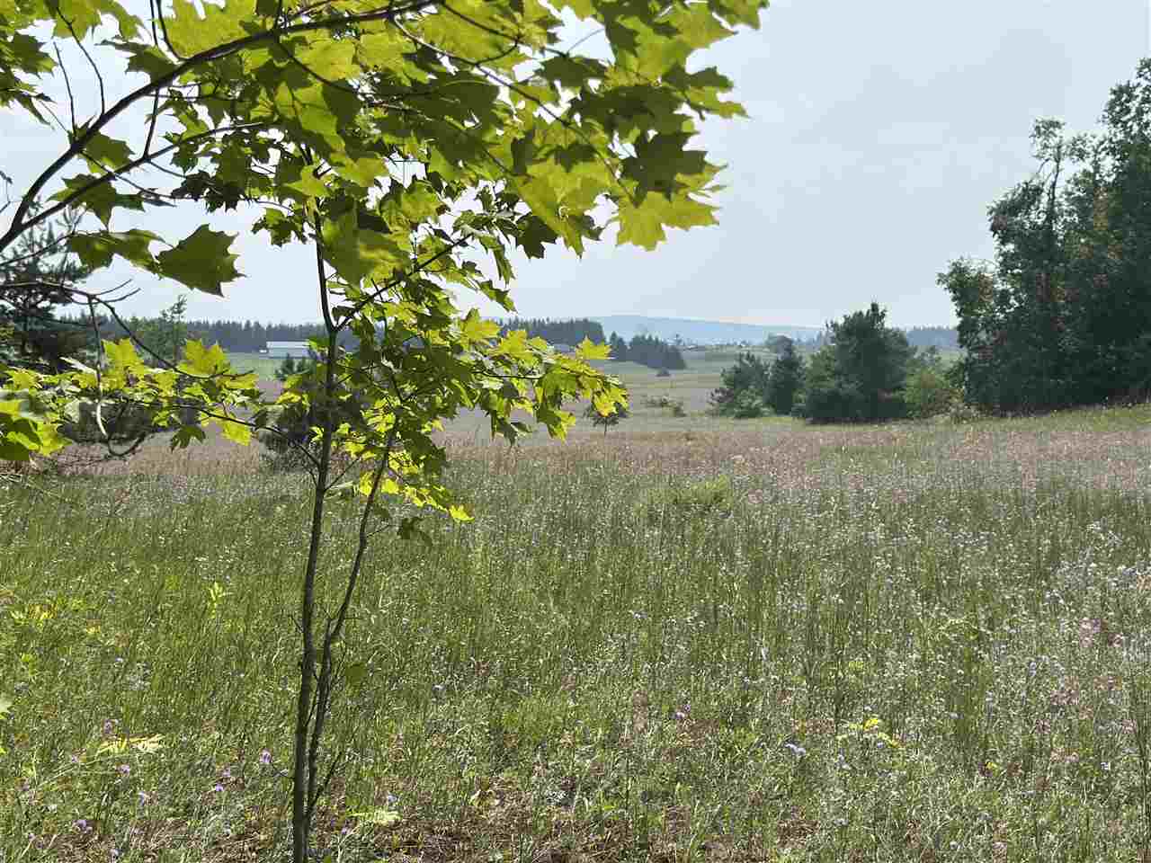 8688 Miller Road Alanson MI 49706