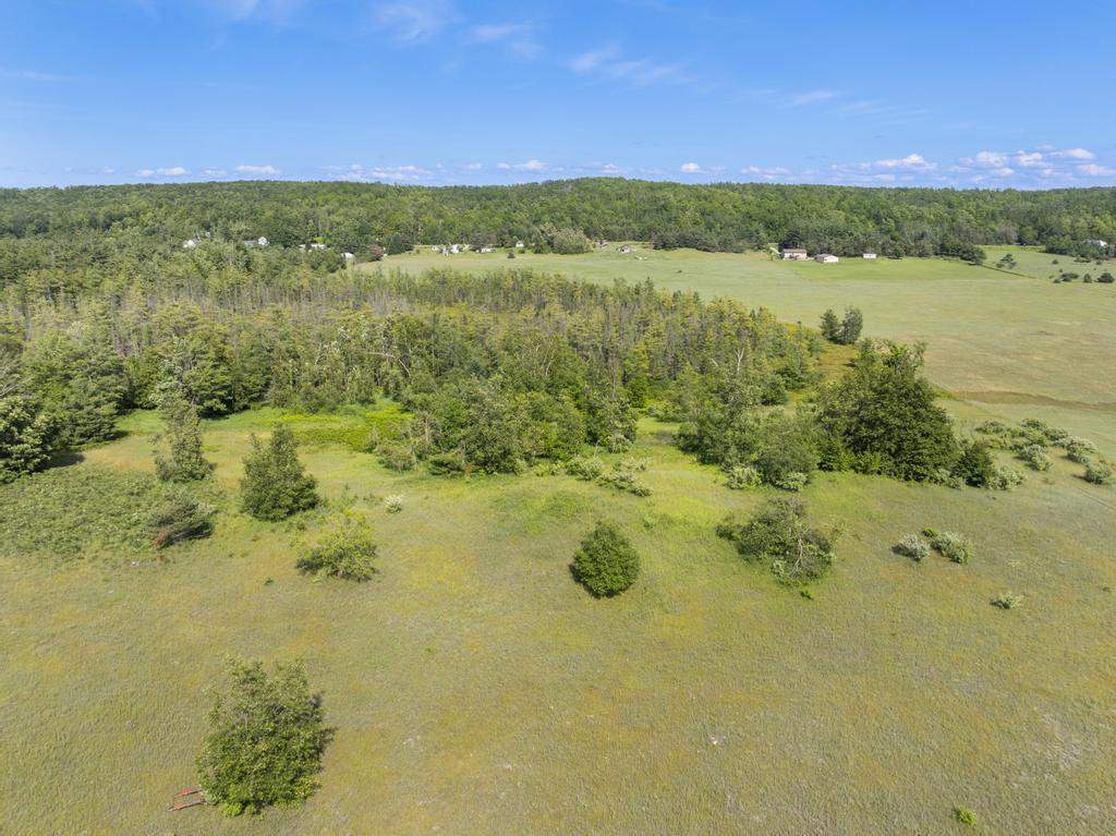 8688 Miller Road Alanson MI 49706