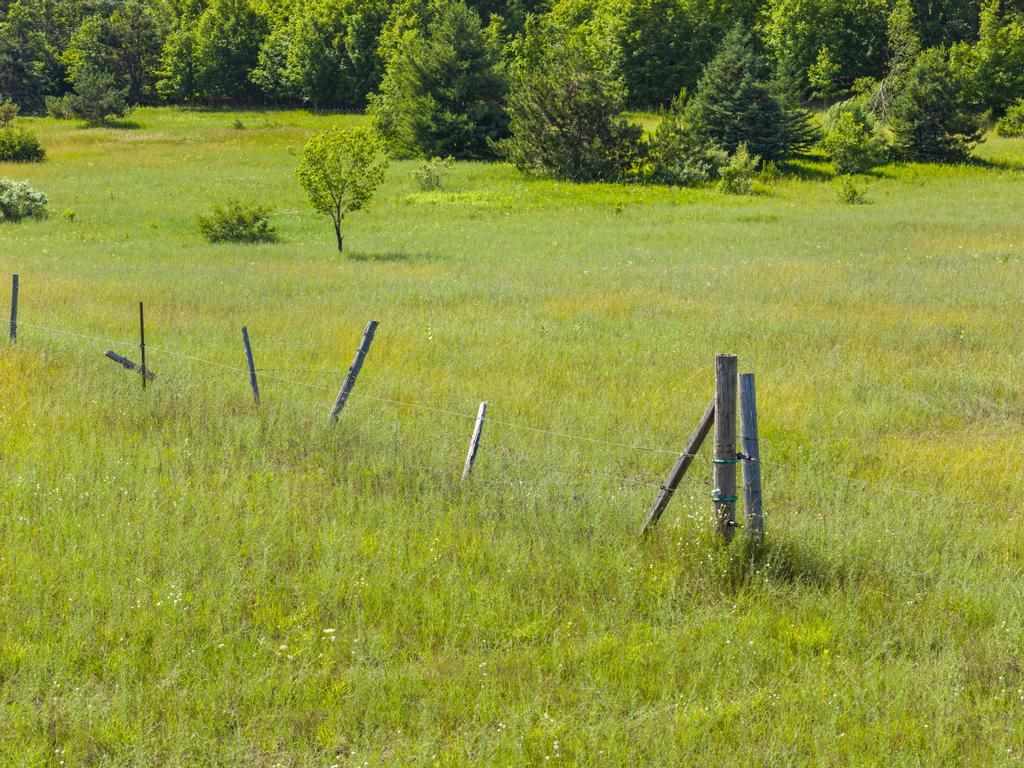 8688 Miller Road Alanson MI 49706