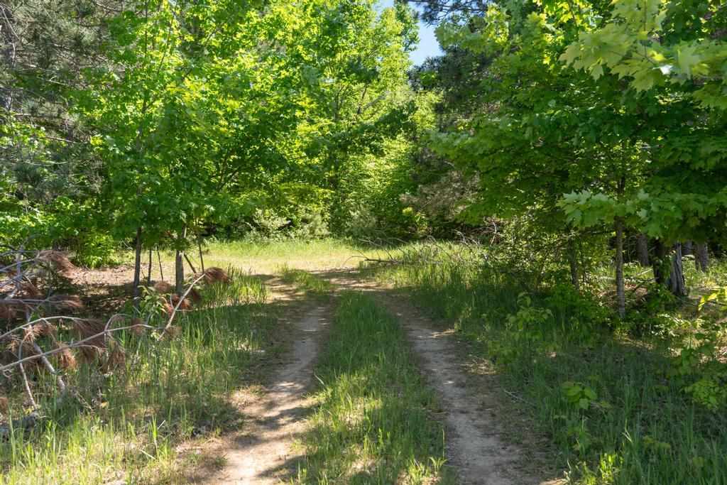 Tbd Camp Daggett Boyne City MI 49712