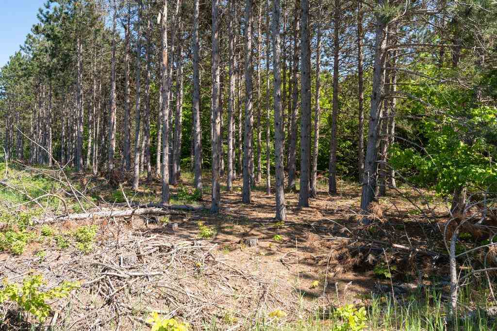 Tbd Camp Daggett Boyne City MI 49712