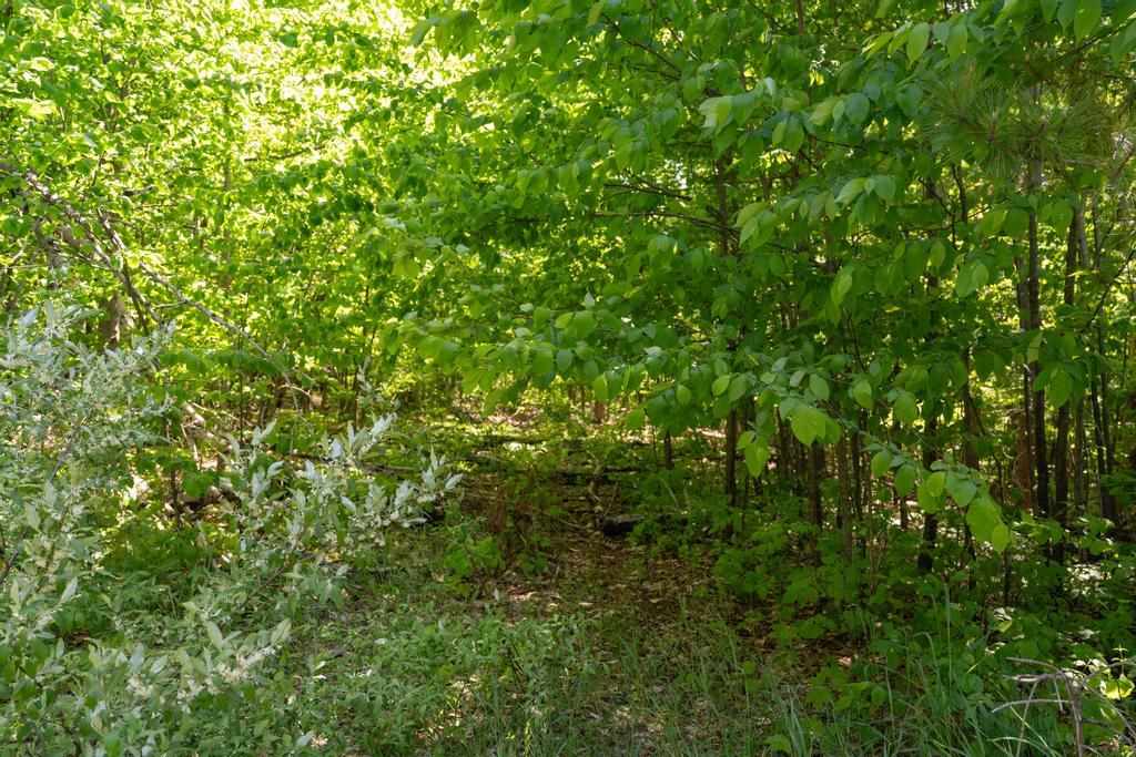 Tbd Camp Daggett Boyne City MI 49712