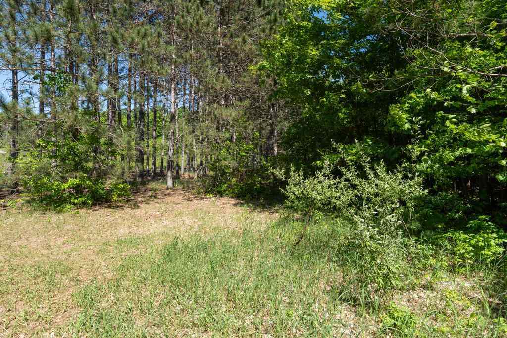 Tbd Camp Daggett Boyne City MI 49712