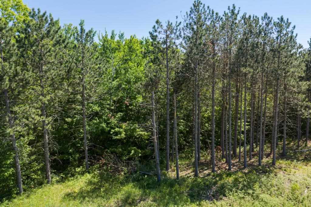 Tbd Camp Daggett Boyne City MI 49712