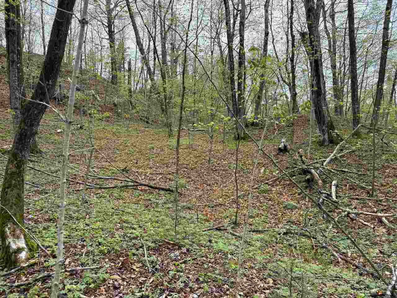 Lots 565-568 Island Woods Road Beaver Island MI 49782