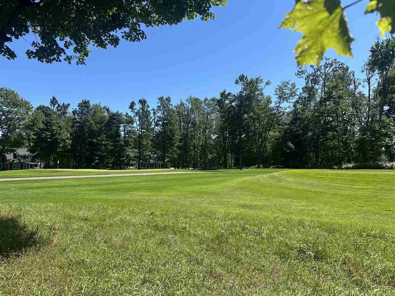 863 Aronimink Harbor Springs MI 49740